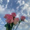 sondos.ashraf2