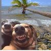 pookiedooked