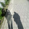 sensax6