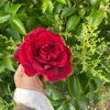 asiaismail4