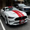 5.0rogue
