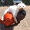 drstevegichuru
