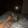nicolaspomar_