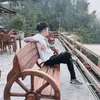 Trần Nam
