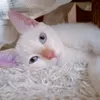 najoua_re