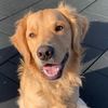 cooperandfam