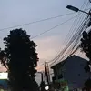 ziggyzigzagajah