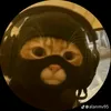 maj_2