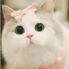 zhairah29