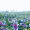 rizkiyaalyaa