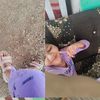 singkatsaja_keisya