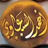 ahmedshehab486