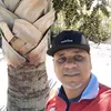 fernandocorreia702