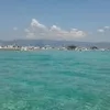 mashang8