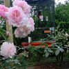 juliantika_9a