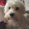 chiky07777
