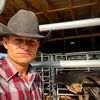 robertsoncattlecompany