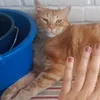 adios_3.2