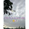 pilarzavala14