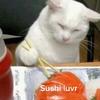 sushi_l0vr