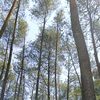 putrinovia_8