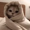 chutttt003