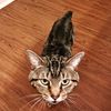 mairtrix