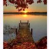 nourhene_tl