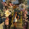 shanivsjoykelly1