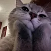 ﮼طيبه