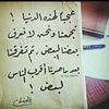 muhammed10983
