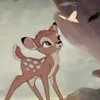 fawn_lisbon