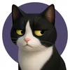 Gatinho Casado