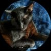 charles_thegoober