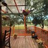 elkinforestcabin