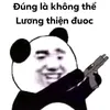 datnguyen_63_tg