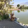 viamikoyolly268