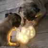 pugs_kira_and_vika