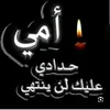 user8811187553329