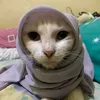 enaknyasiapalhoooo