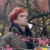wiley_hoang