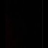 jarvis0075567