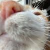 cheiny_binker