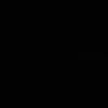 r.17.v
