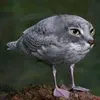 eagerkosta