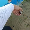 ginoalthafarizky_
