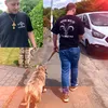 michael_hook17
