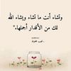 mahmoudmahrous643