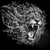 kully_19