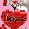 user8wujmcruy5